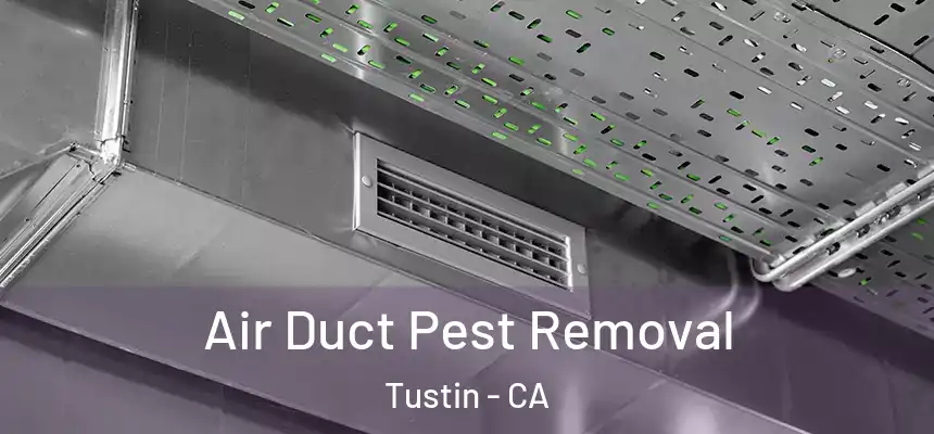  Air Duct Pest Removal Tustin - CA