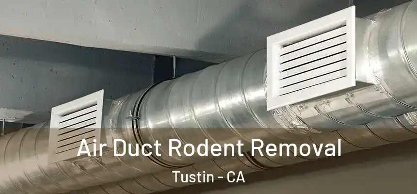 Air Duct Rodent Removal Tustin - CA