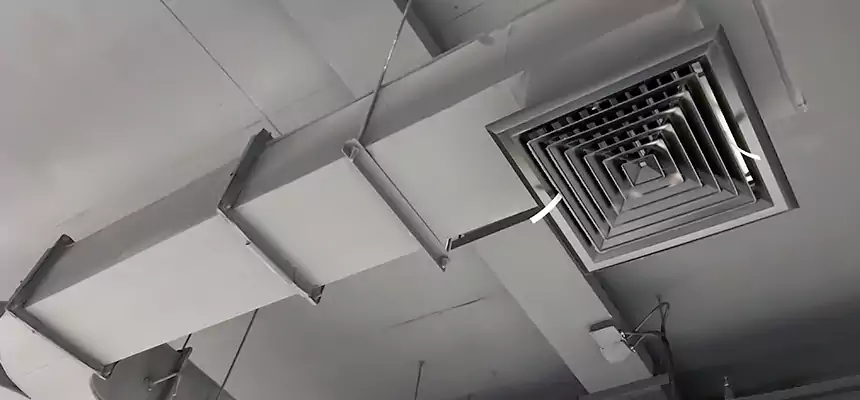 Restorative Allergy Relief Vent Cleaning – Coil, Blower & Housing Detail in Tustin