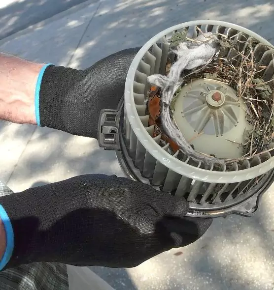 About Air Duct Mice Removal in Tustin, CA