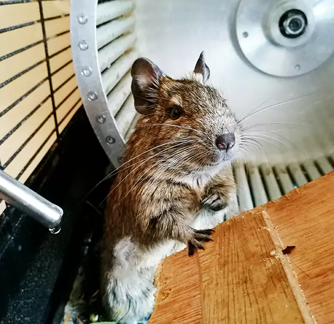 Why Homeowners & Businesses Trust Us Tustin, CA?