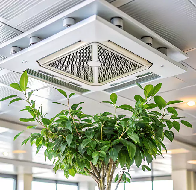 Why Homeowners & Businesses Trust Us in Tustin, CA?